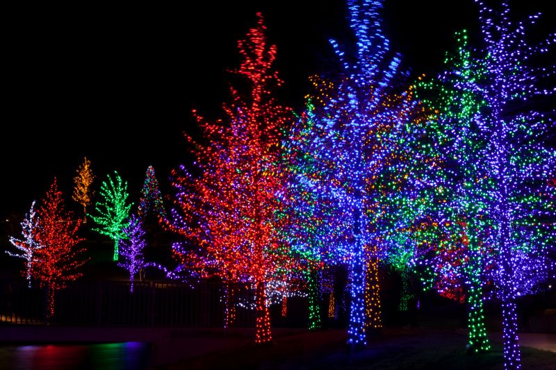 Seasonal Lights Installation in Roswell, GA