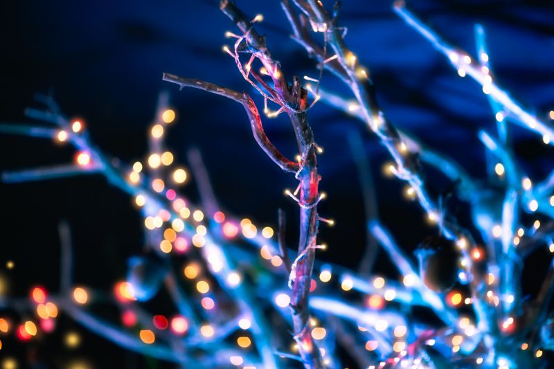 Christmas Lights Hanging in Kansas City, MO